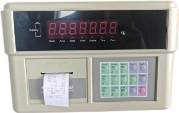 A9P weighing indicator displayercontroller